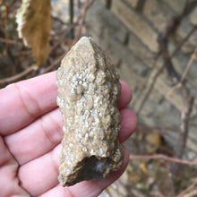 Load image into Gallery viewer, Owl Feather Quartz - Song of Stones
