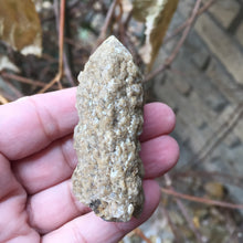 Load image into Gallery viewer, Owl Feather Quartz - Song of Stones