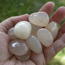 Load image into Gallery viewer, Pink Chalcedony - Song of Stones