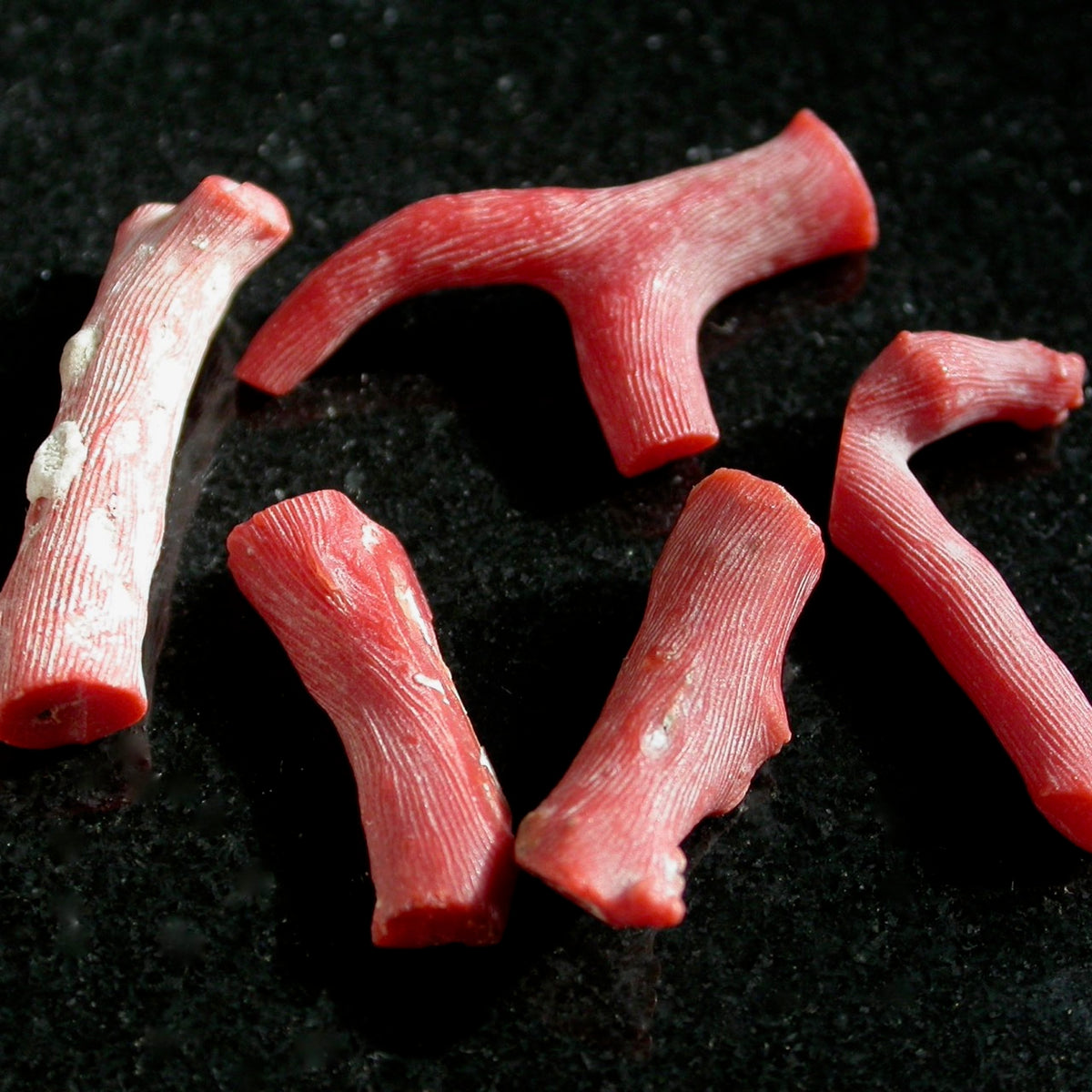 Raw red coral on sale