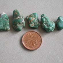 Load image into Gallery viewer, Natural Turquoise Nuggets - Song of Stones