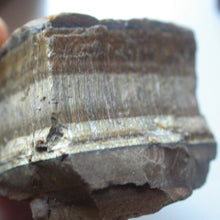 Load image into Gallery viewer, Golden Tiger Eye - Song of Stones