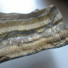 Load image into Gallery viewer, Golden Tiger Eye - Song of Stones