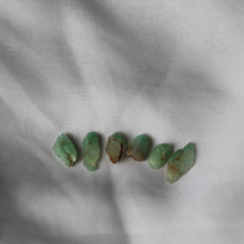Load image into Gallery viewer, Turquoise Phantom Quartz Crystals - Song of Stones