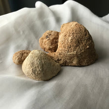Load image into Gallery viewer, Turtle Rattle Stone