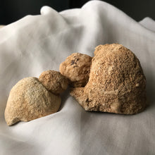 Load image into Gallery viewer, Turtle Rattle Stone