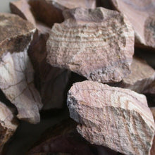 Load image into Gallery viewer, Rhyolite Wonderstone - Song of Stones