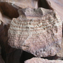 Load image into Gallery viewer, Rhyolite Wonderstone - Song of Stones
