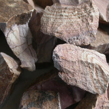 Load image into Gallery viewer, Rhyolite Wonderstone - Song of Stones