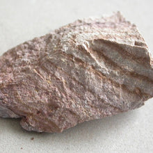 Load image into Gallery viewer, Rhyolite Wonderstone - Song of Stones
