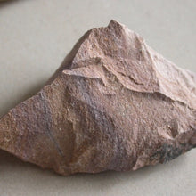Load image into Gallery viewer, Rhyolite Wonderstone - Song of Stones