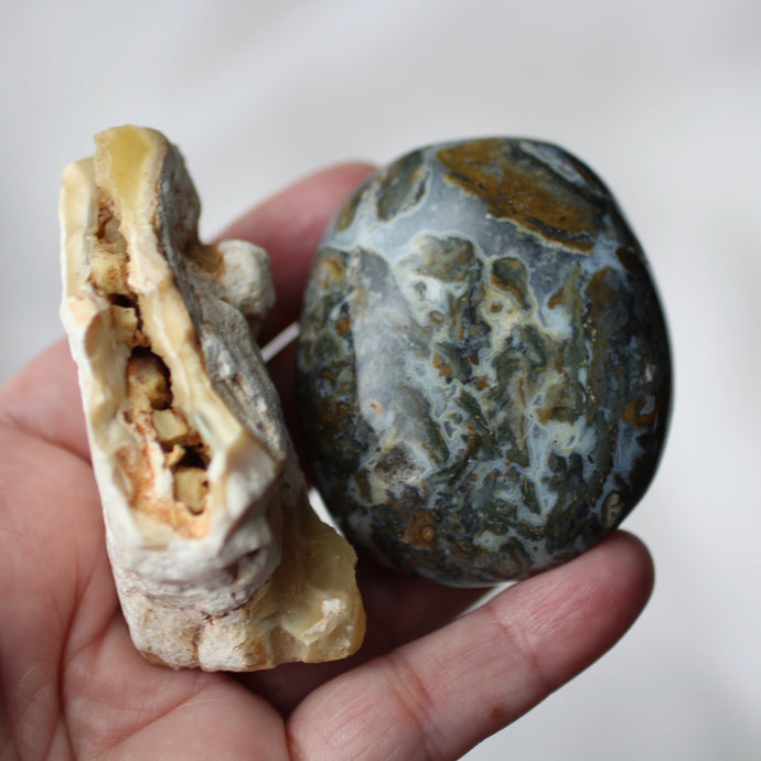 Caimans, Crocs and Crystals