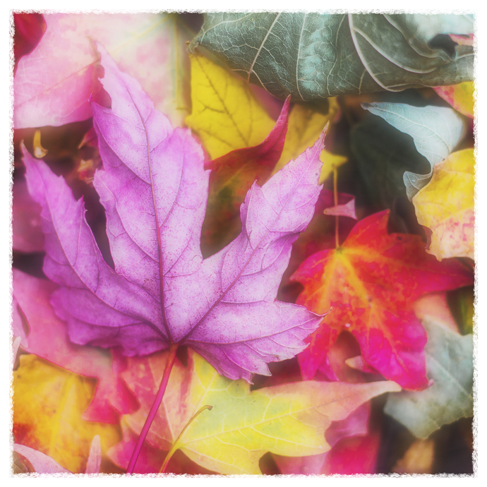 Fall Away