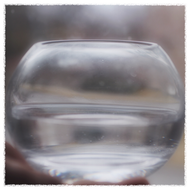 STar Song Crystal Elixir by Distance - Song of Stones