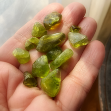 Load image into Gallery viewer, Tumbled Peridot Crystals