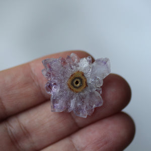 Sahasrara the Butterfly