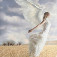 Angel Blessed Crystal