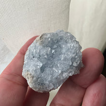 Load image into Gallery viewer, Celestite Blue Star Crystals