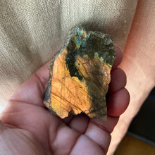 Load image into Gallery viewer, Kissing the Cat