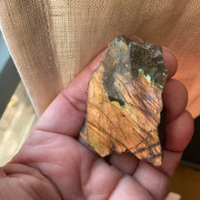 Load image into Gallery viewer, Kissing the Cat