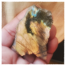 Load image into Gallery viewer, Kissing the Cat