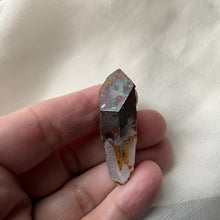 Load image into Gallery viewer, Lion Shaman Black Rainbow Quartz