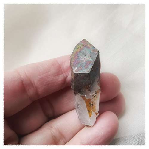 Lion Shaman Black Rainbow Quartz