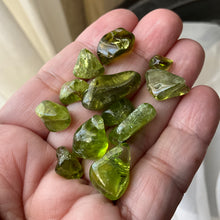 Load image into Gallery viewer, Tumbled Peridot Crystals