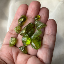 Load image into Gallery viewer, Tumbled Peridot Crystals