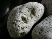 Load image into Gallery viewer, Pumice
