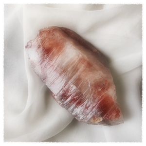 Light Transfusion