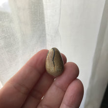 Load image into Gallery viewer, Hatching