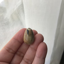 Load image into Gallery viewer, Hatching