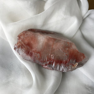 Light Transfusion