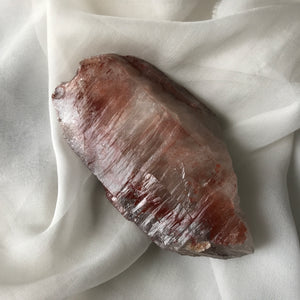 Light Transfusion