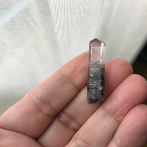 Forest for the Trees Crossroads Crystal