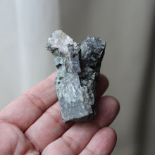 Load image into Gallery viewer, Elephant Heart - Song of Stones