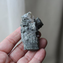 Load image into Gallery viewer, Elephant Heart - Song of Stones