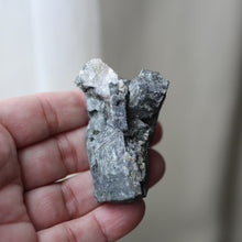 Load image into Gallery viewer, Elephant Heart - Song of Stones