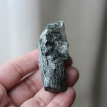 Load image into Gallery viewer, Elephant Heart - Song of Stones