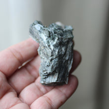 Load image into Gallery viewer, Elephant Heart - Song of Stones