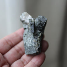 Load image into Gallery viewer, Elephant Heart - Song of Stones