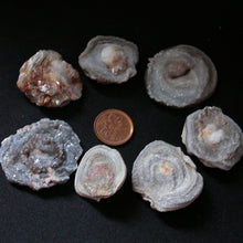 Load image into Gallery viewer, Agate Swirls Living Labyrinths - Song of Stones