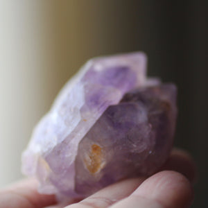 Amethyst with Cacoxenite - Song of Stones