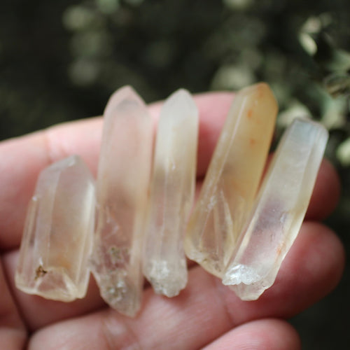 Angel Healer Crystal Points - Song of Stones