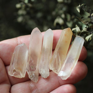 Angel Healer Crystal Points - Song of Stones