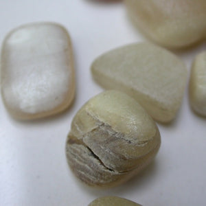 Dall Sheep Antler stones - Song of Stones