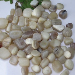 Dall Sheep Antler stones - Song of Stones