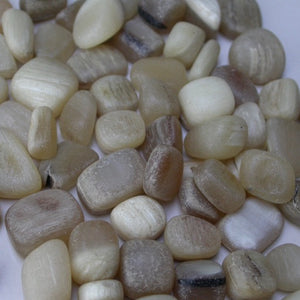 Dall Sheep Antler stones - Song of Stones