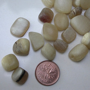 Dall Sheep Antler stones - Song of Stones